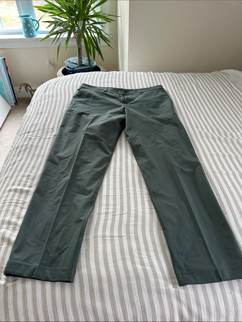lululemon athletica Men's Dark Olive Green Stretch Pants